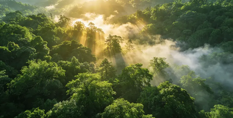 桂林肺癌靶向120基因检测（组织）图片1