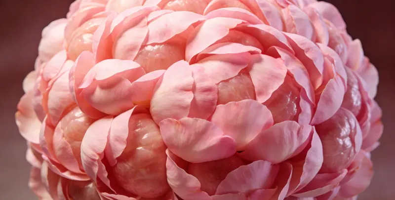 桂林BRCA1/2乳腺癌卵巢癌基因检测图片1